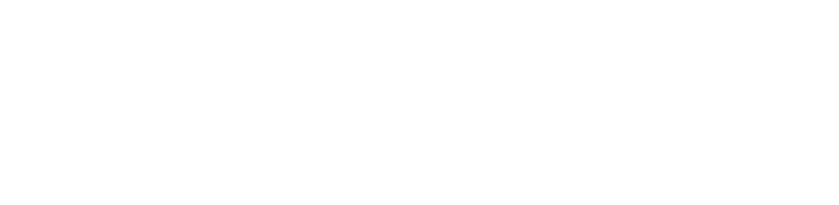 questor_insurance_home_logo-inverted.webp