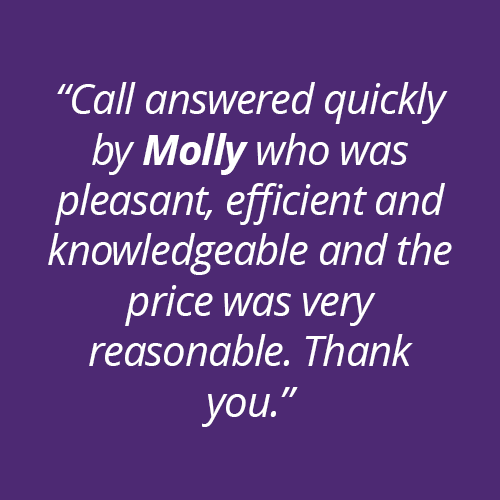 Molly Feedback